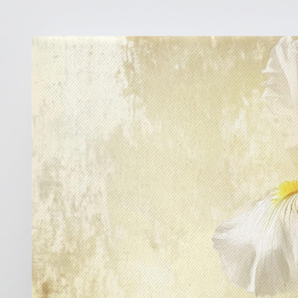 White Bearded Iris Gold Textured Background Elegant Flower Poster - Image 3