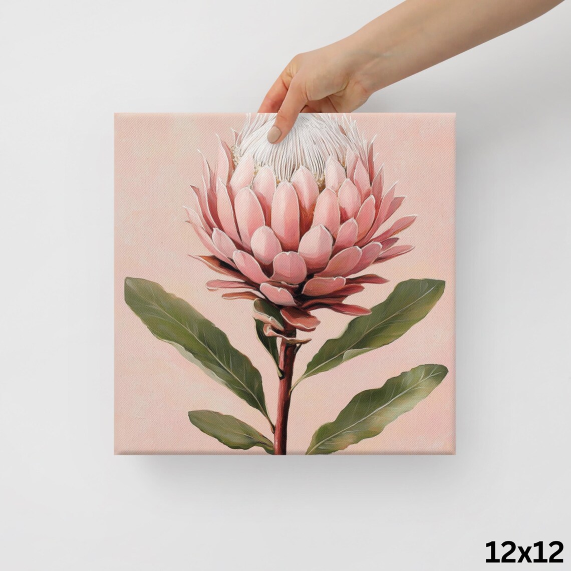 Pink Protea Flower Blush Background Exotic Floral Painting Art Poster - Image 2