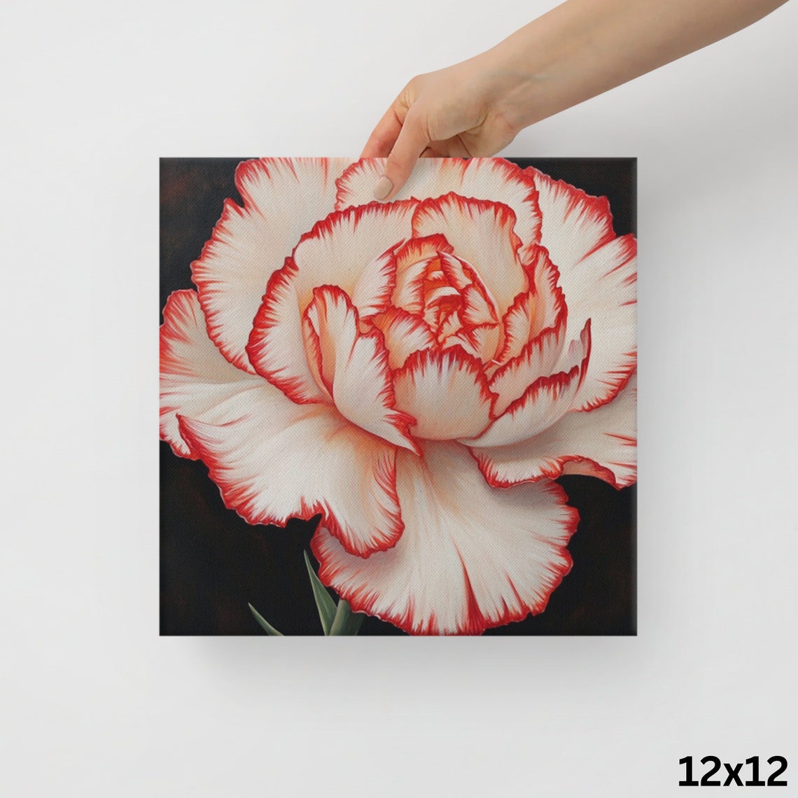 Red White Two Toned Carnation Black Background Bold Statement Poster - Image 3