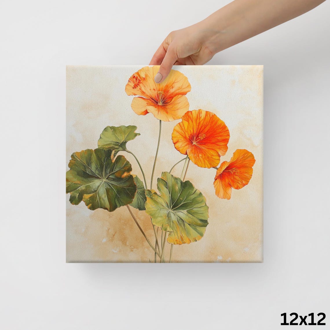 Orange Nasturtium Blooms Round Leaves Botanical Floral Art Poster - Image 2