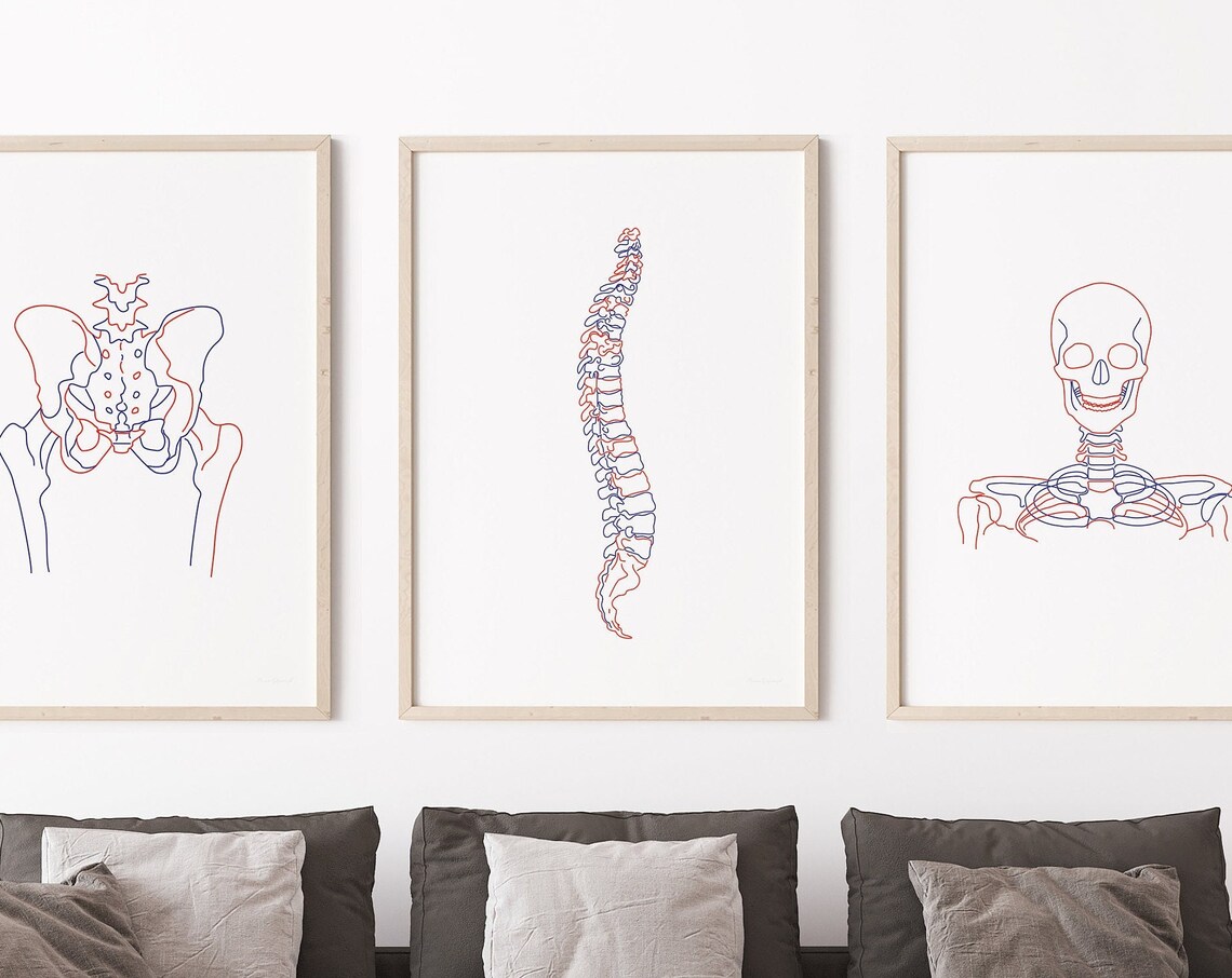 Anatomical Skeleton One Line Art Set Pelvis Spine Skull Medical Poster - Image 4