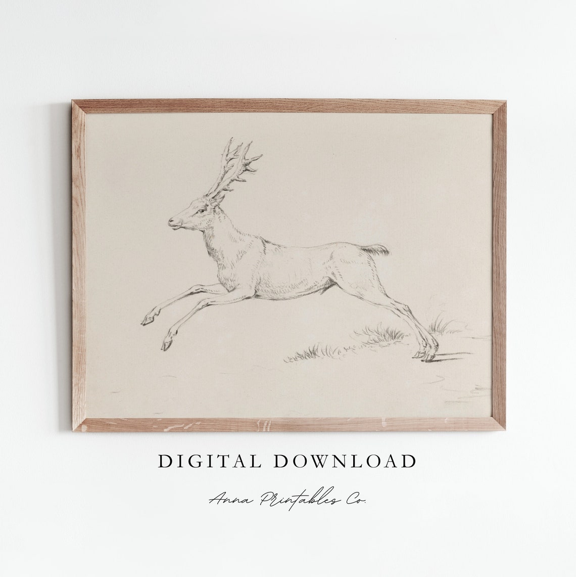 Leaping Stag with Antlers Pencil Sketch Wildlife Study Poster