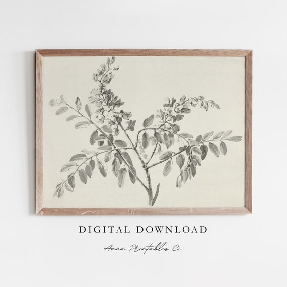 Flowering Branch Vintage Botanical Art Print