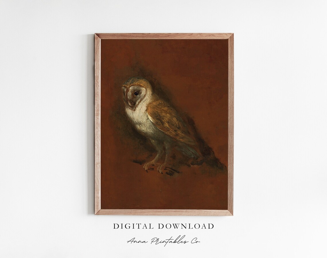 Barn Owl Portrait Dark Moody Vintage Wildlife Oil Painting Poster