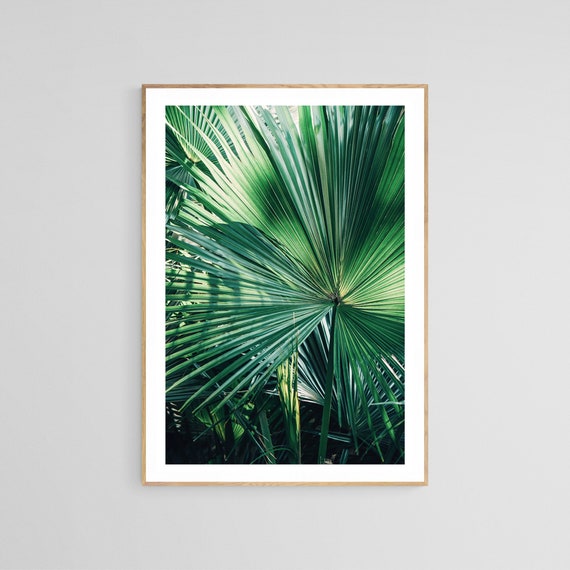 Palm Tree Photograph, Everything Was Green