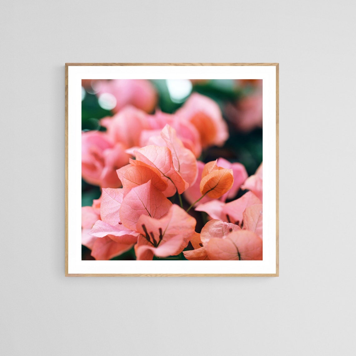 Bougainvillea Flower Photograph, Tropical Botanical Art