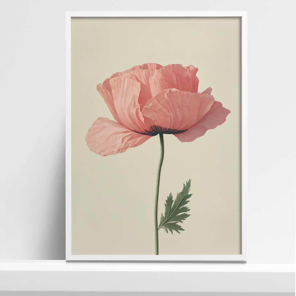 Pink Poppy Flower Botanical Illustration on Cream Paper Poster