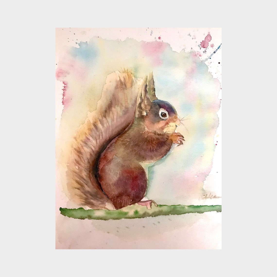 Adorable Red Squirrel on a Branch Watercolor Portrait Poster - Image 2