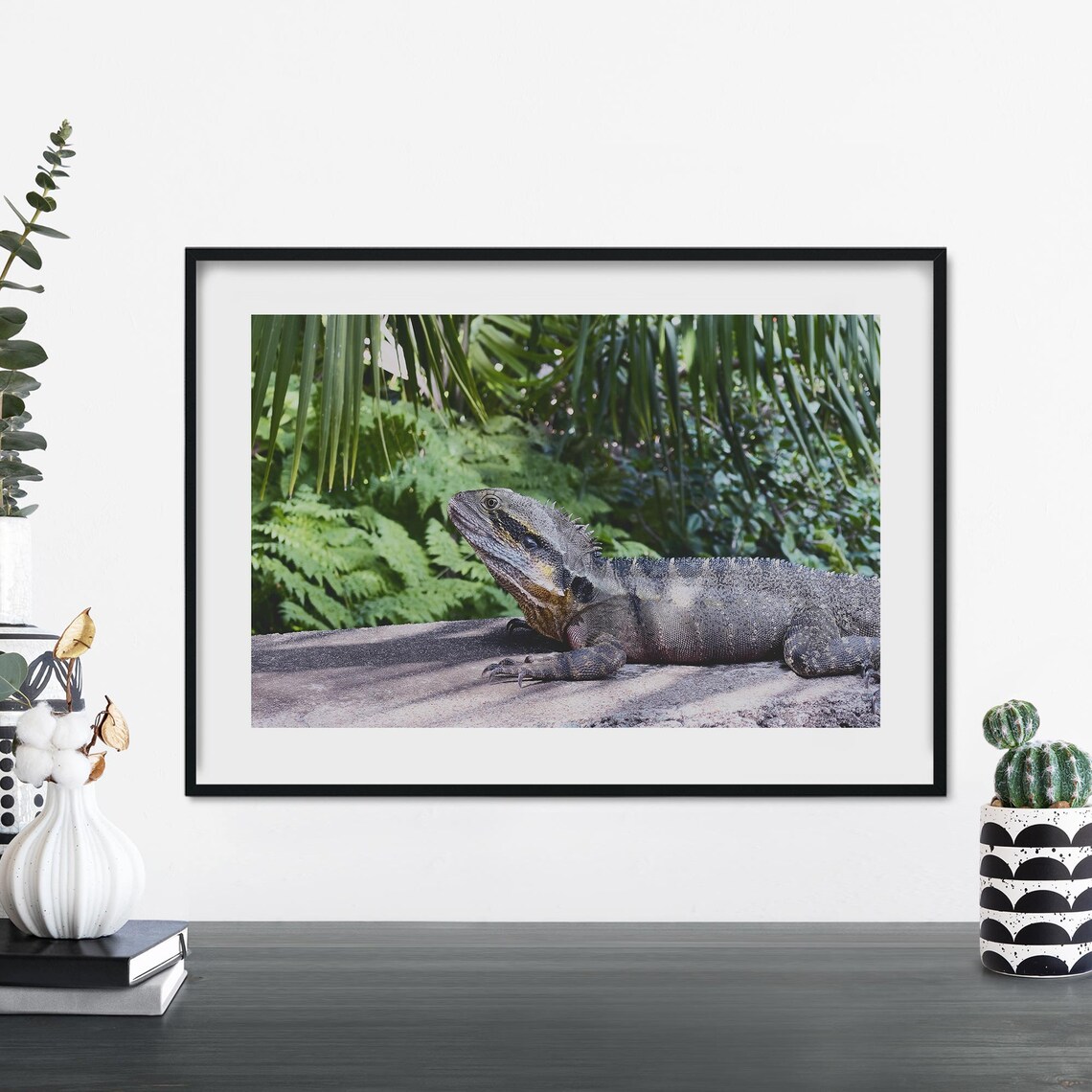 Lizard Photograph Art Print, Nature Wall Decor