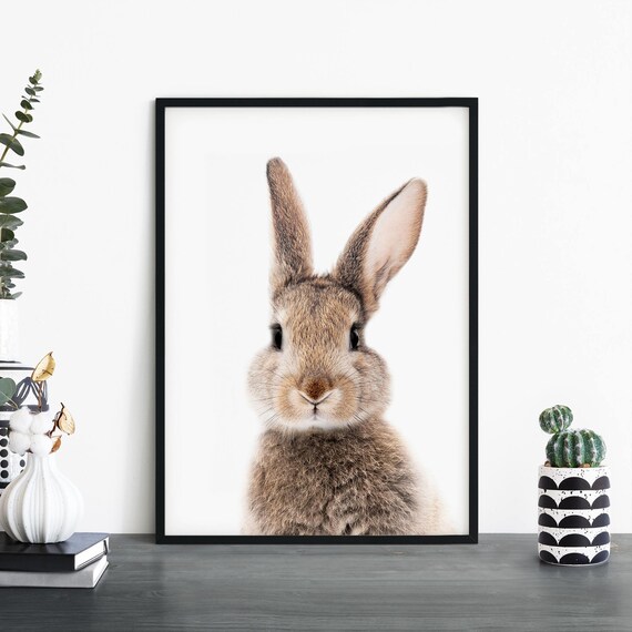 Bunny Print Wall Art A4 A3 A2