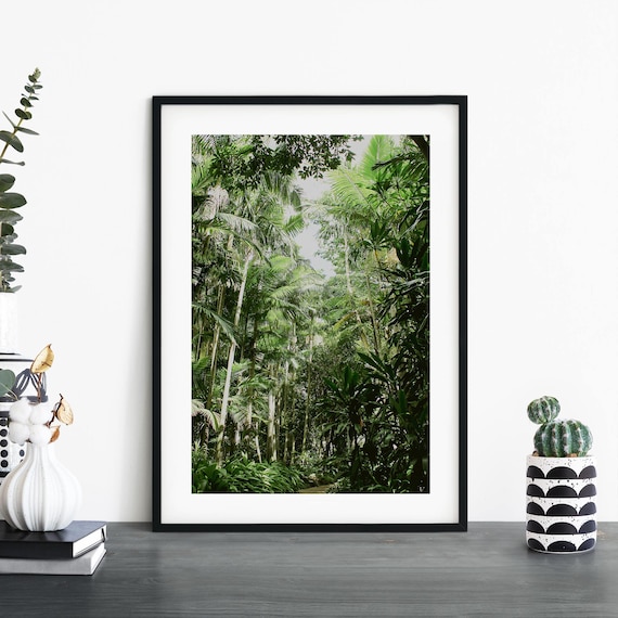 Lush Green Rainforest Palm Trees Photography Framed Art Poster