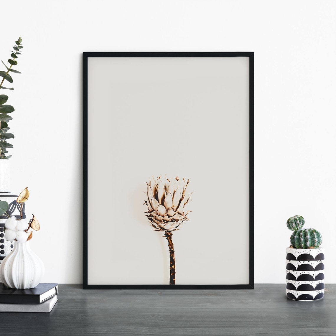 Minimalist Dried Protea Flower Single Stem White Photo Poster
