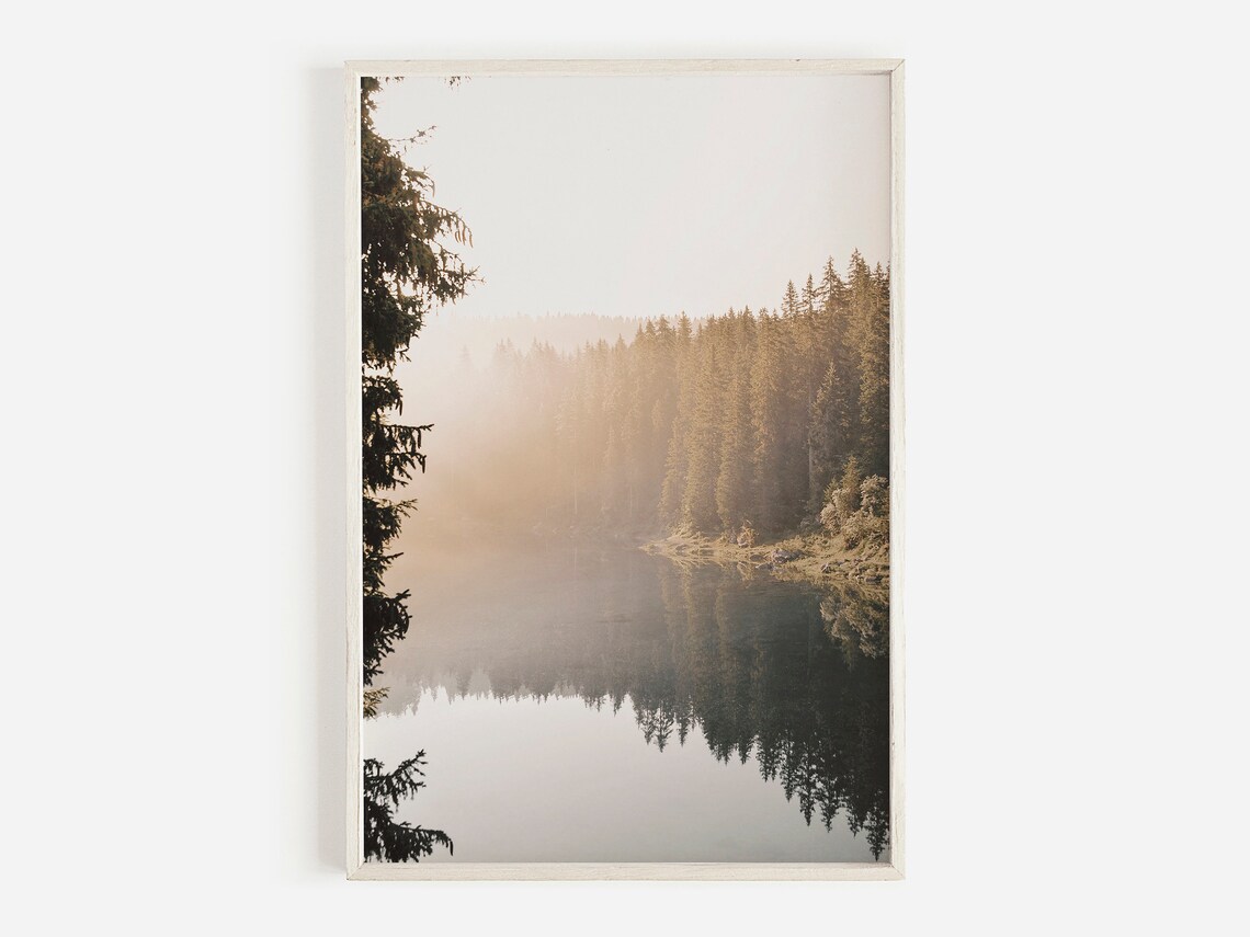 Misty Forest Pond Photo Landscape, Colorado Mountain Lake