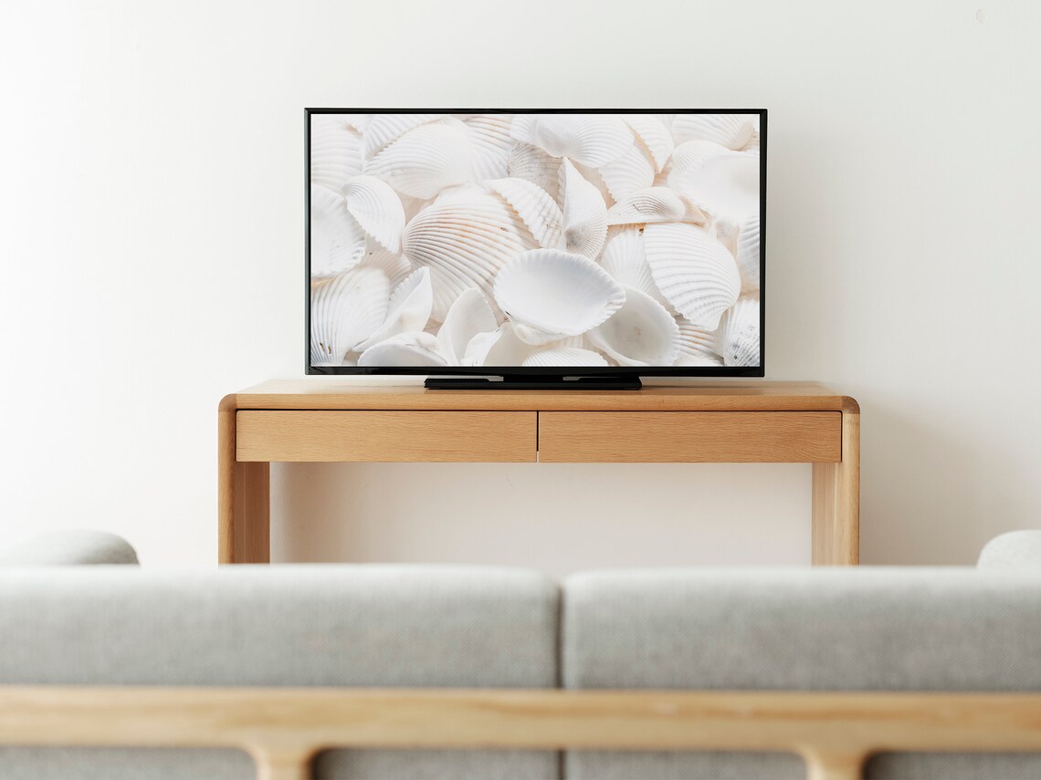 Sea Shell Photo Neutral Beach Art Print, Boho - Image 3