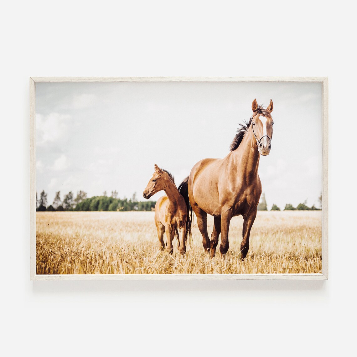 Horse Wall Art, Horses In Field Farmhouse Art Print