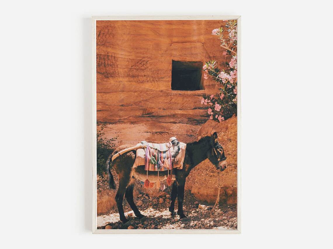 Hydra Greece Donkey Photography Art Print