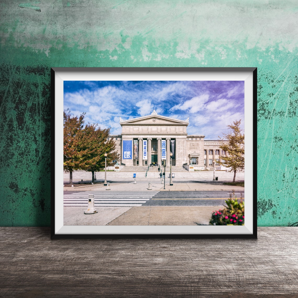 Field Museum Chicago Neoclassical Building Museum Campus Poster