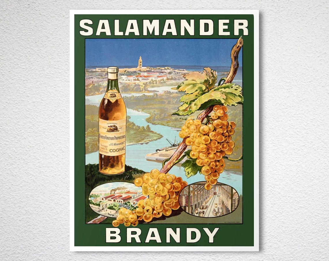 Salamander Brandy Vineyard Bottle Vintage Cognac Bar Ad Poster - Image 2