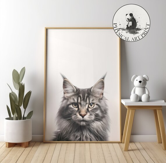 Majestic Maine Coon Cat Close-Up Portrait Regal Animal Poster