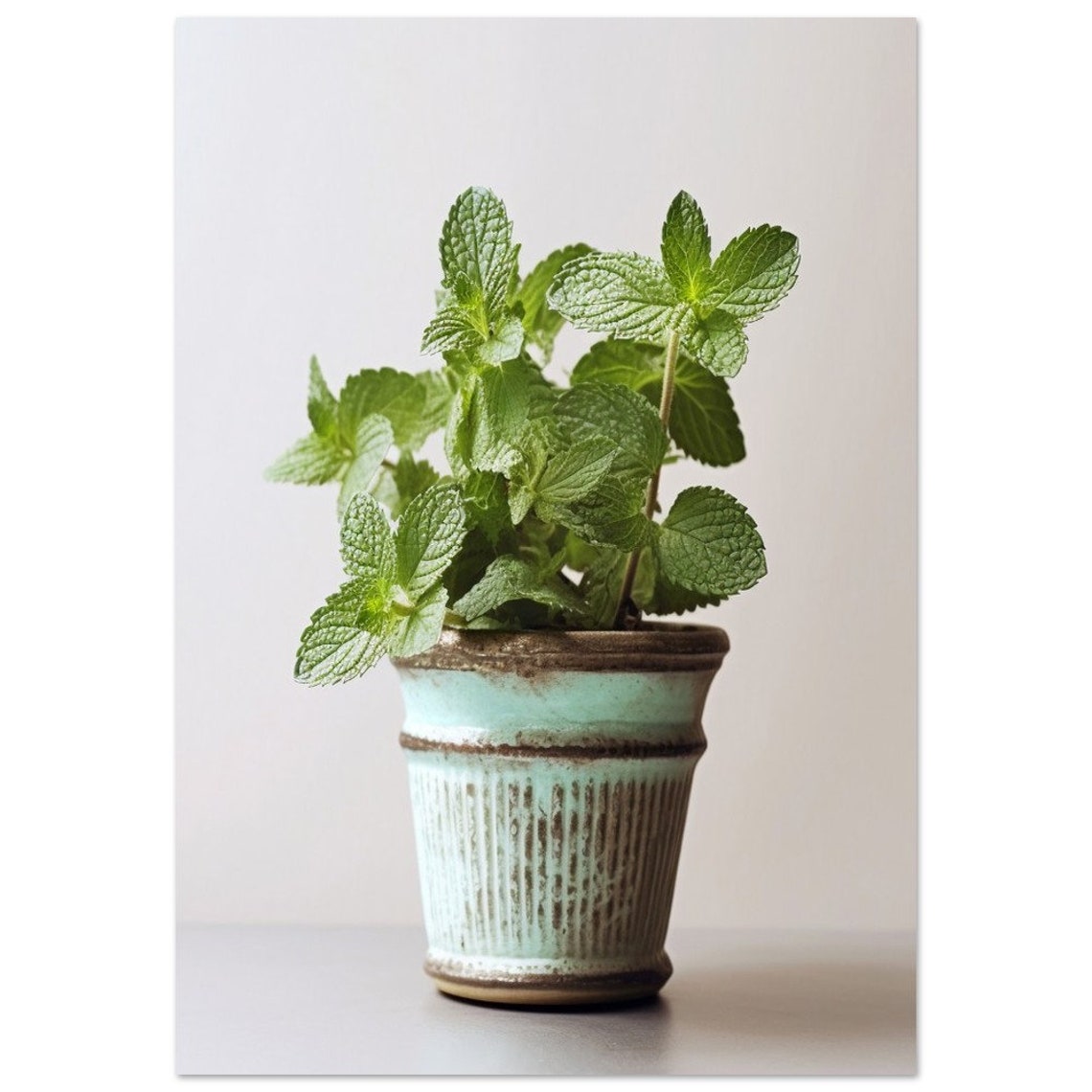 Fresh Mint Sprigs Vintage Turquoise Pot Minimalist Plant Poster - Image 2