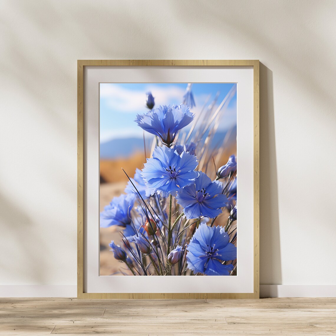 Blue Cornflowers In Sunny Field Floral Photography Flower Poster