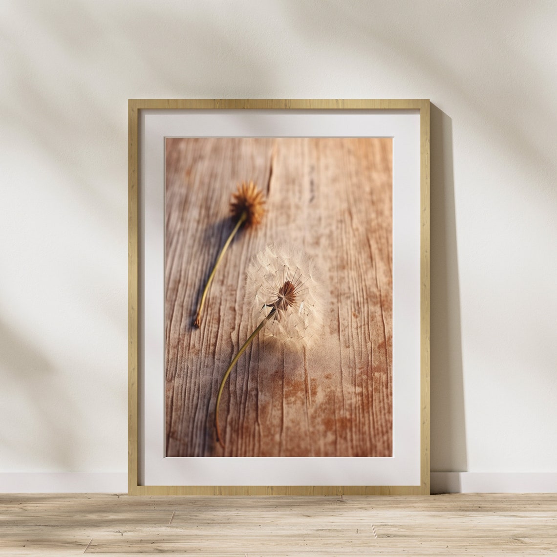 Dandelion Seed Heads On Weathered Wood Rustic Nature Photography Print