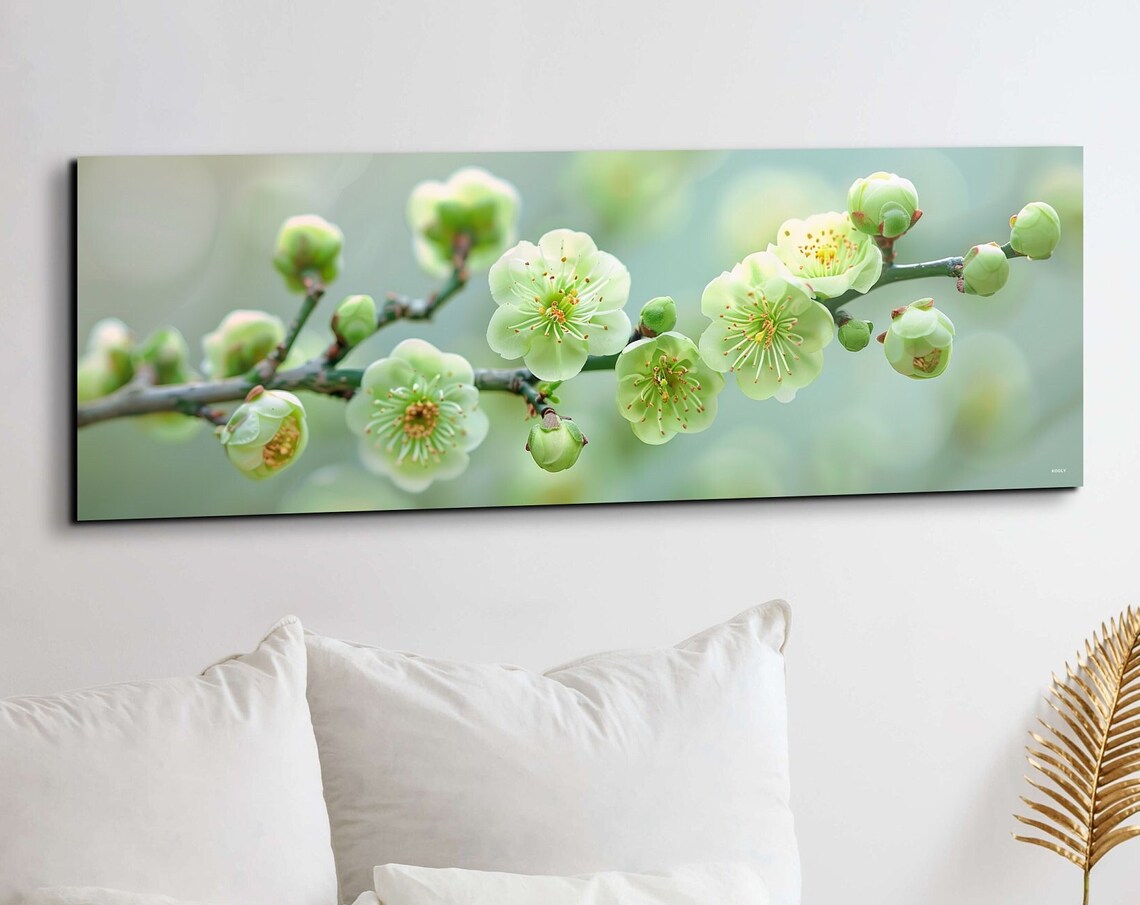 Green Plum Blossoms Panoramic Nature Landscape