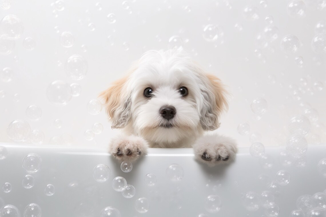 Maltese Puppy Bubble Bath Cute Dog Bathroom Humor Animal Print