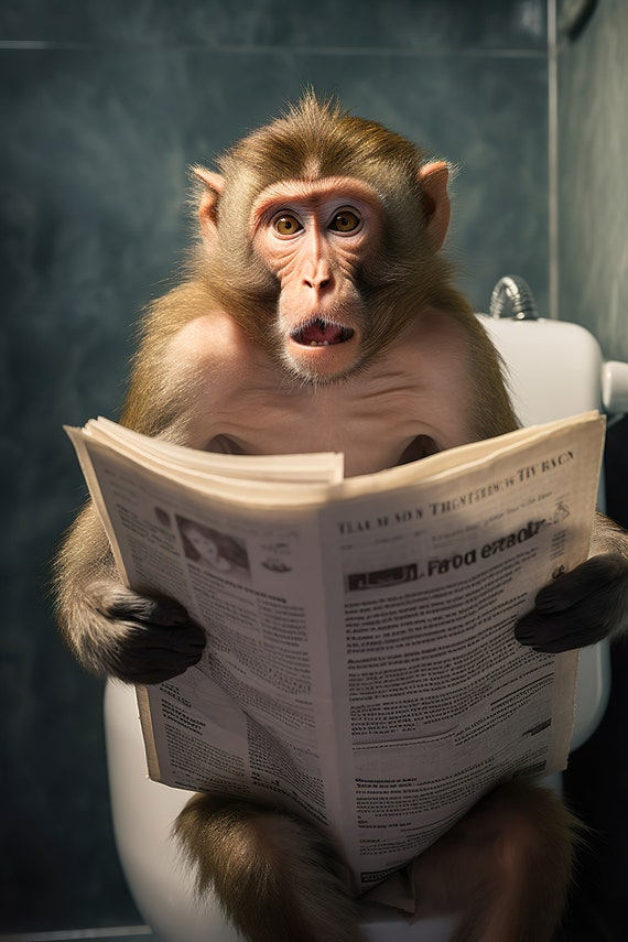 Macaque Monkey Sitting On The Toilet Reading A Newspaper Funny Bathroom Wall Art Funny Monkey Print Animal Photos Ai Art