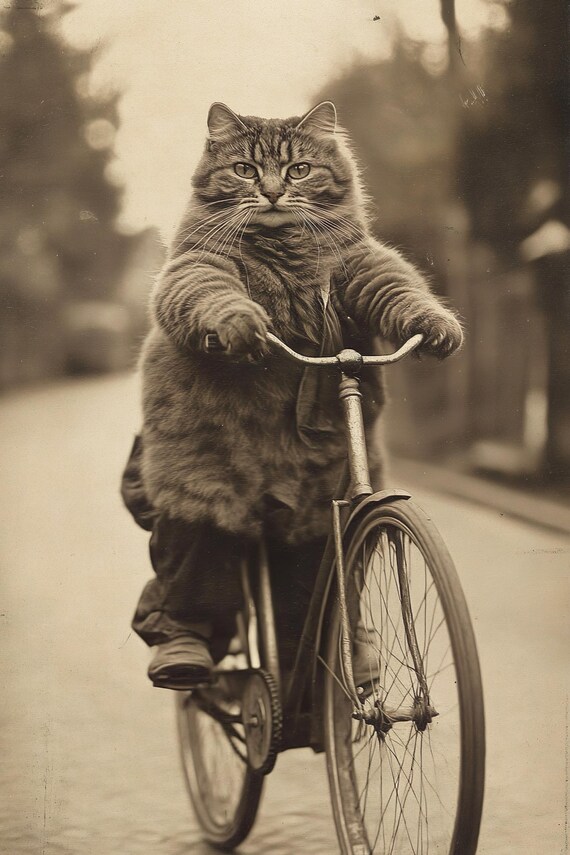 Cute Fluffy Cat Riding Bicycle Sepia Vintage Funny Animal Poster