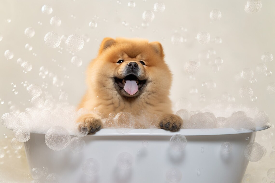 Chow Chow Pup In The Bathtub Funny Bathroom Wall Art