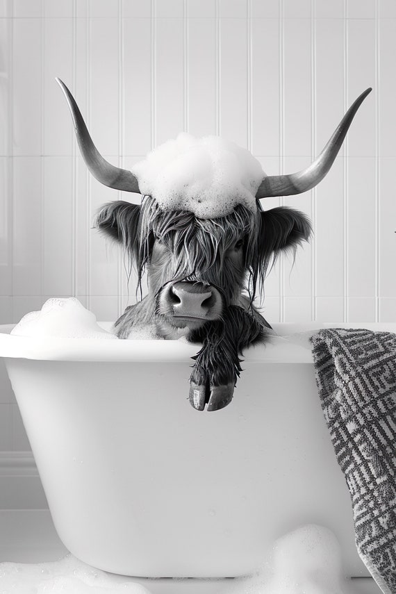 Highland Cow In The Bathtub Funny Animal Art Print