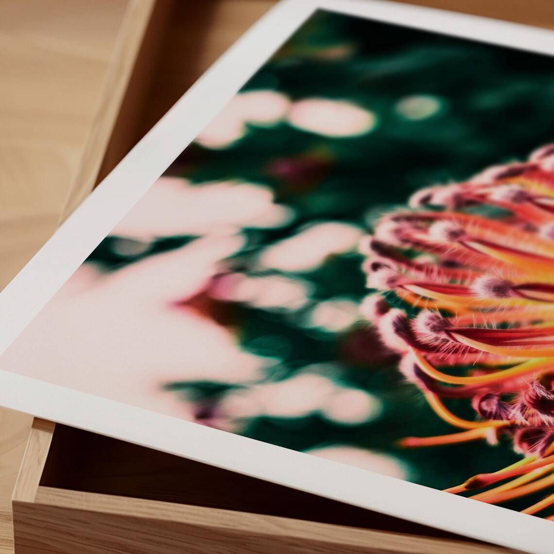 Protea Botanical Photography, Moody Flower Art Print - Image 5