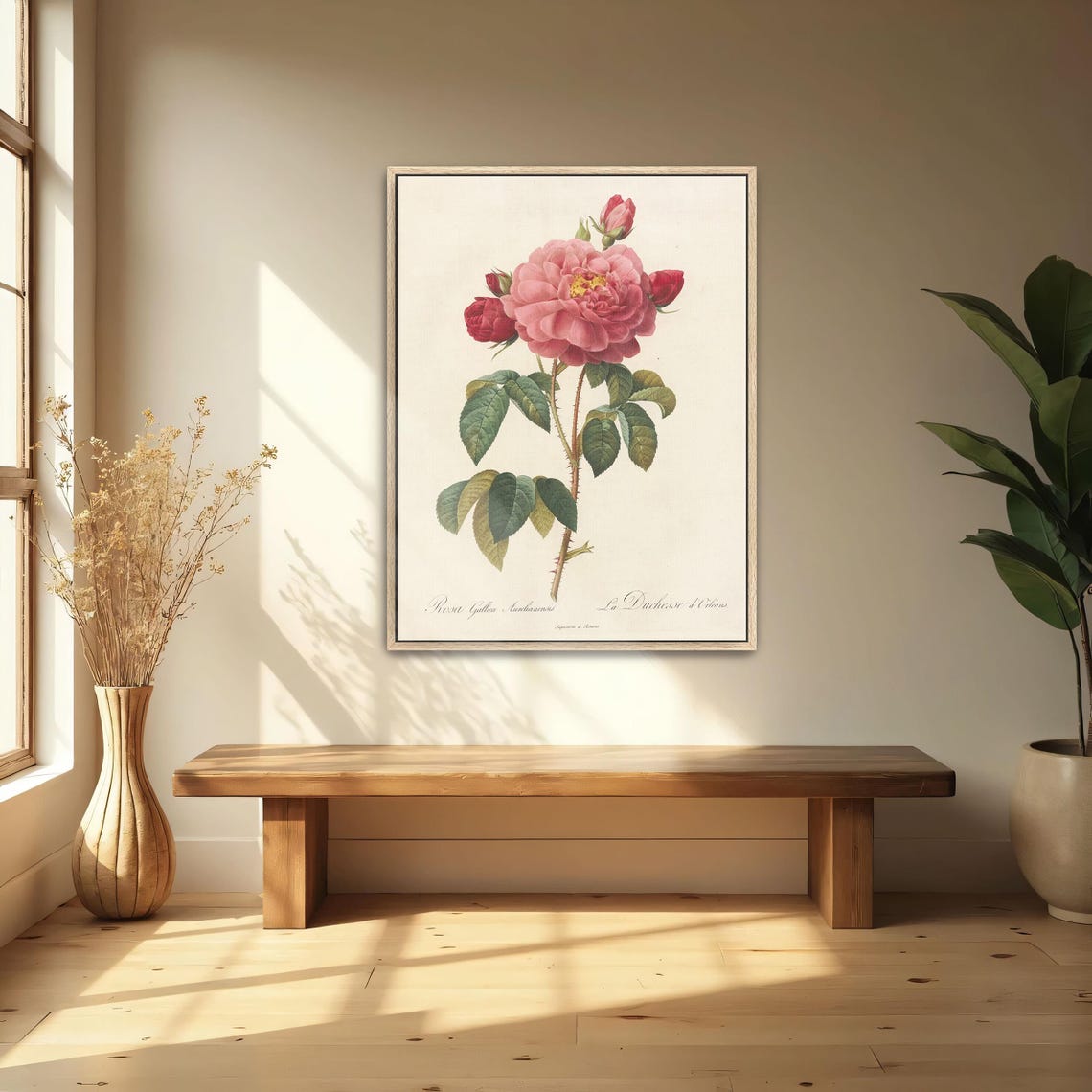 Vintage Pink Rose Botanical Illustration Classic Flower Art Poster - Image 5