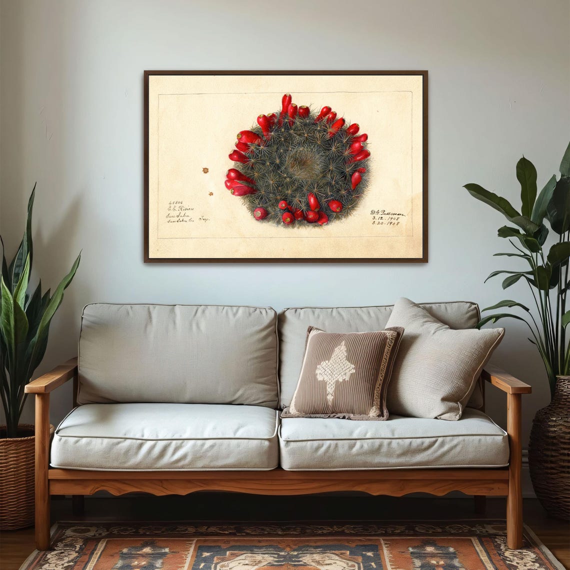 Barrel Cactus with Red Fruits Vintage Botanical Study Poster - Image 6