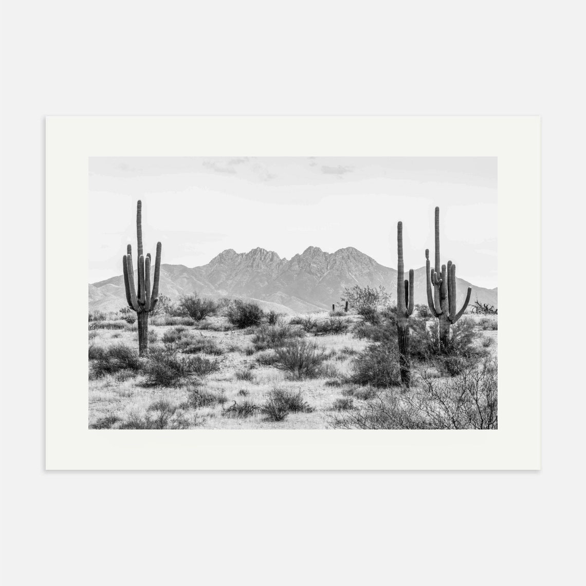 Saguaro Cactus Mountain Peaks Black And White Desert Photo Poster - Image 3