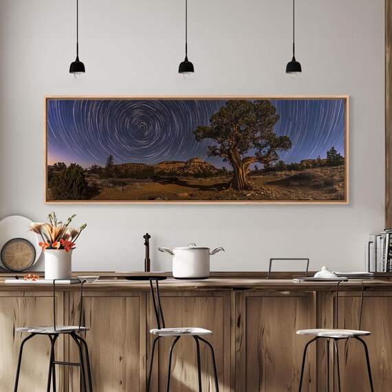 Star Trails Spiral Over Desert Tree Night Sky Long Exposure Poster
