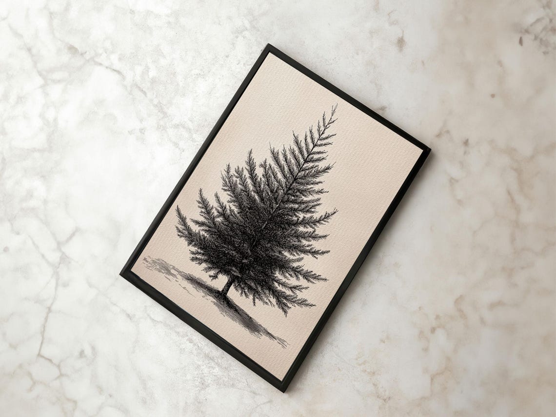 Minimalist Evergreen Tree Ink Sketch Art Print Black And White Decor - Image 3