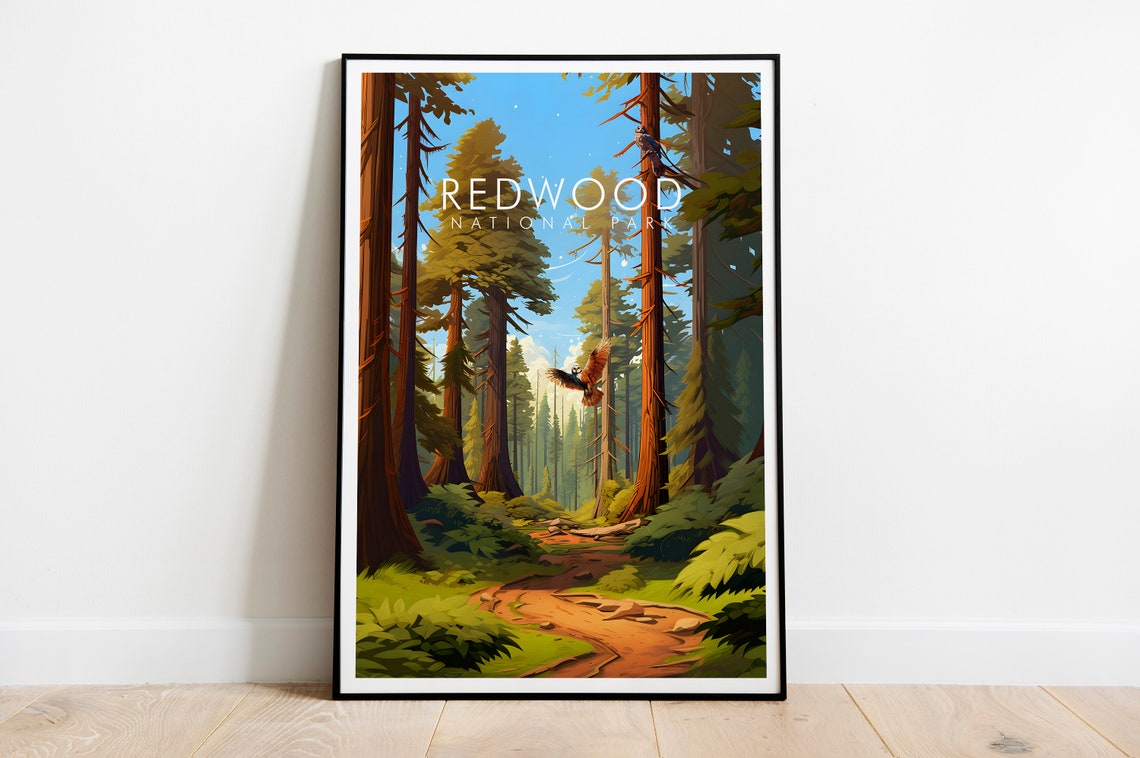 Redwood National Park Towering Giant Trees Forest Trail Nature Poster - Image 2