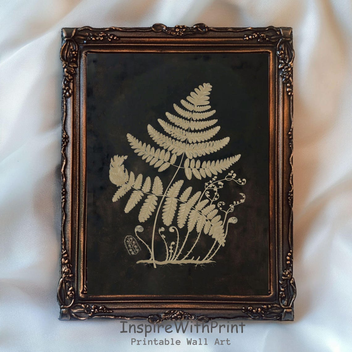Vintage Fern Botanical Illustration on a Dark Background Poster