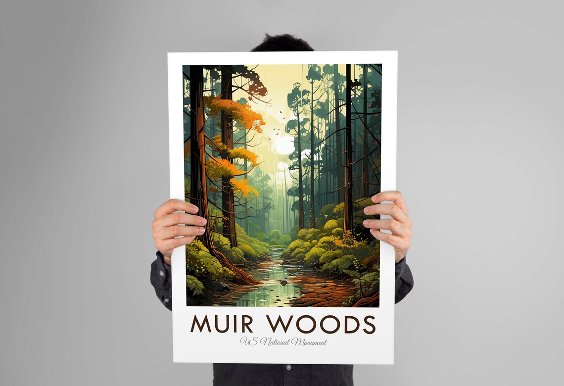 Muir Woods National Monument California Redwood Forest Poster - Image 2