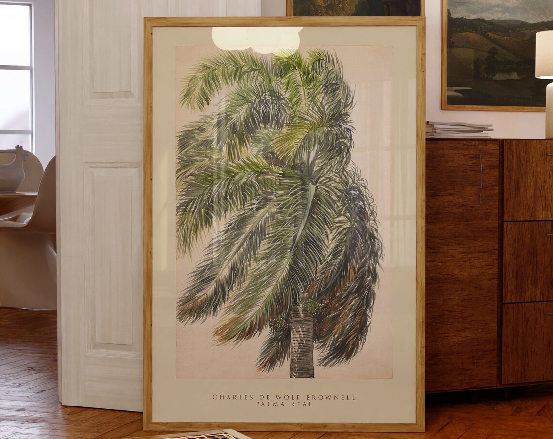 Charles De Wolf Brownell Palma Real Palm Tree Watercolor Poster - Image 2