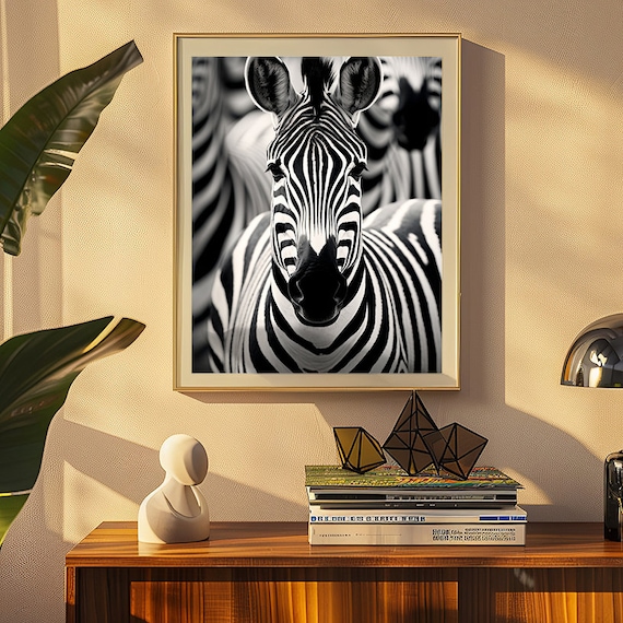Black and White Zebra Face Close Up African Wildlife Safari Poster