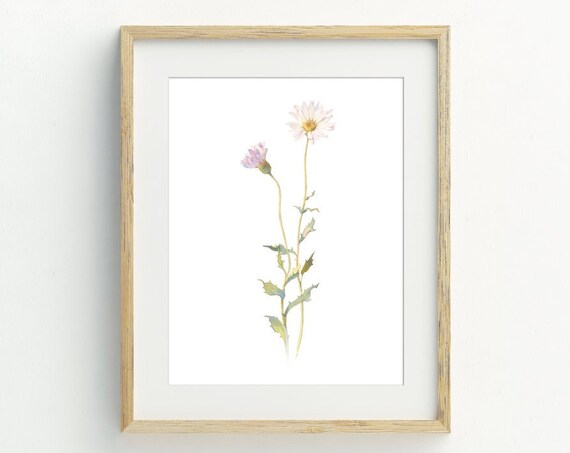 Daisy Flower Farmhouse Wall Art Poster Print