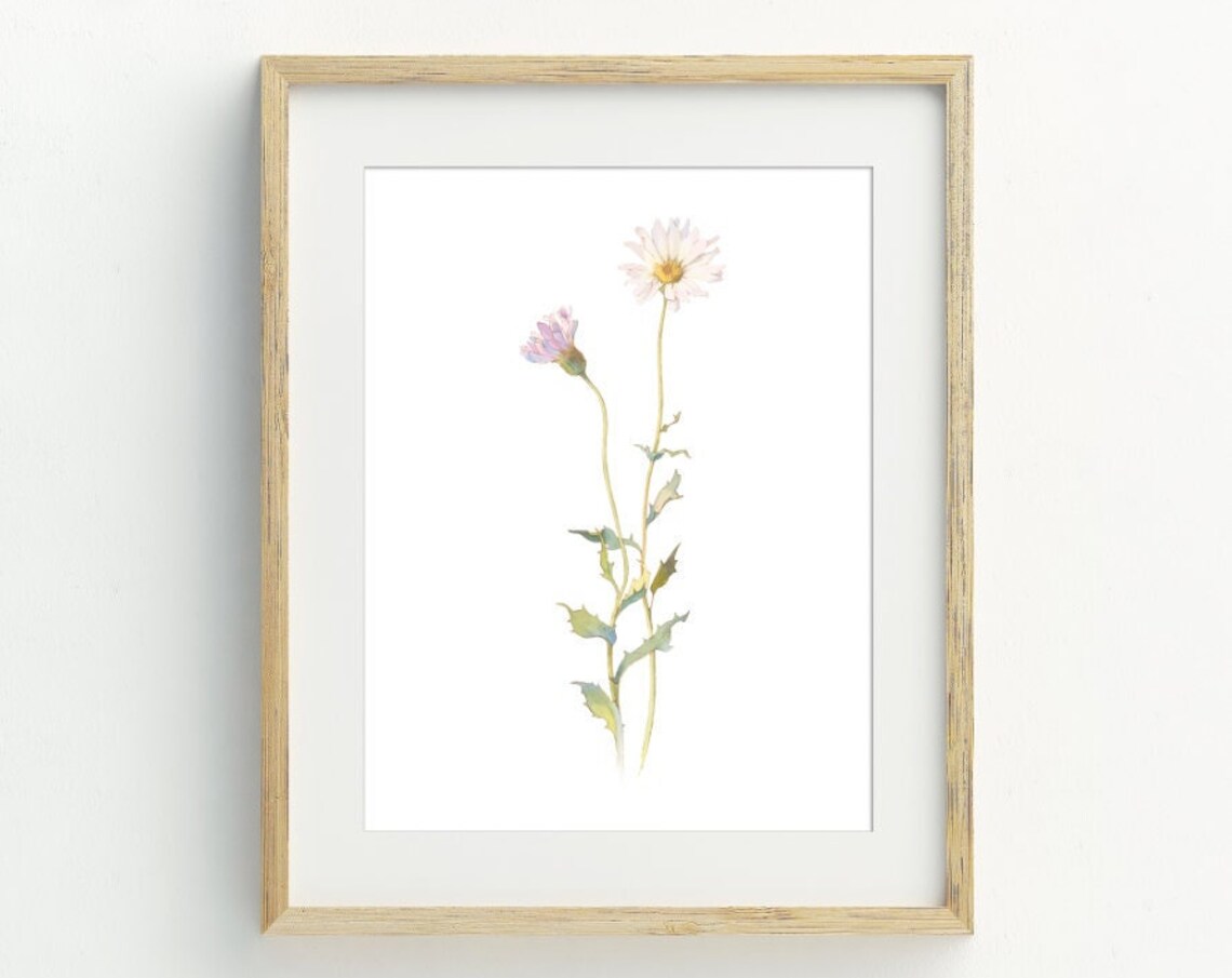 Daisy Flower Farmhouse Wall Art Poster Print