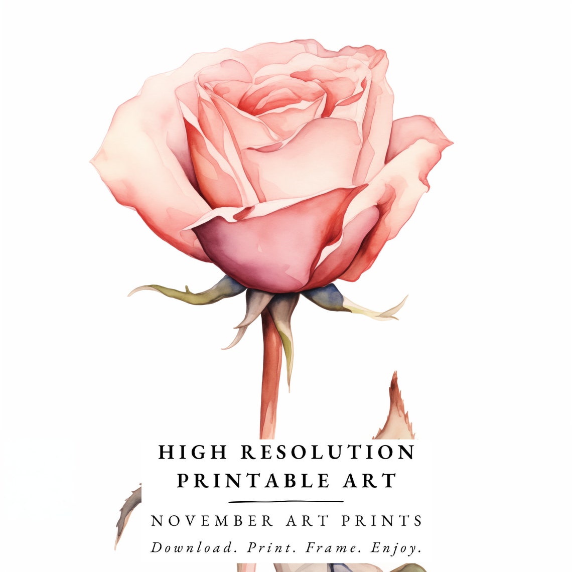 Rose Watercolor Wall Art Watercolor Rose Pink Rose Watercolor Pink Rose Painting Floral Watercolor Rose Wall Art Blush Pink - Image 6