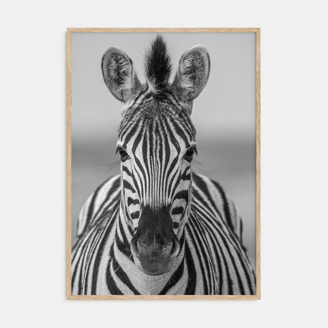 Zebra Portrait Poster Black White Stripes Wildlife Photo Art