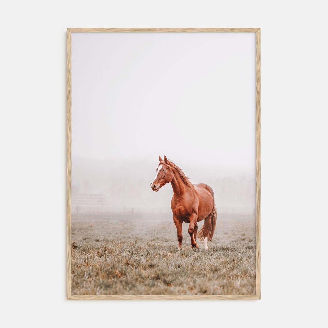 Horse Color Photography Art Print, Equine Decor