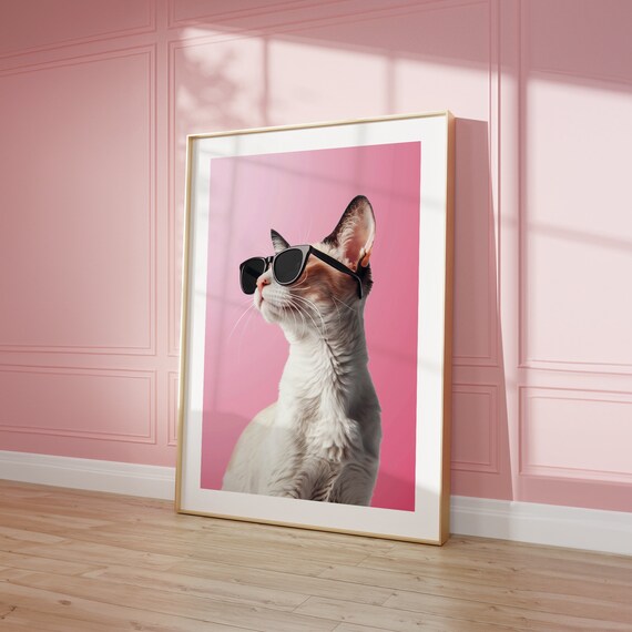 Cool Cat with Sunglasses Pink Background Funny Pet Portrait Poster