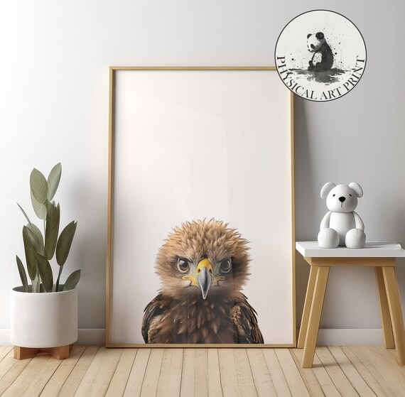 Baby Eagle Chick Nursery Bird Photography Wildlife Portrait Poster